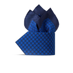 Комплект: галстук и платок-паше из шелка с принтом ручной работы цвет: 41100_001 Размер: One Size