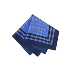 Комплект: галстук и платок-паше из шелка с принтом ручной работы цвет: 43101_001 Размер: One Size
