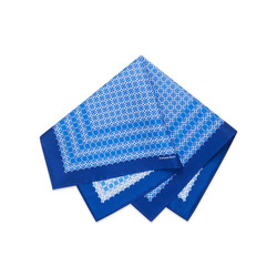 Комплект: галстук и платок-паше из шелка с принтом ручной работы цвет: 43102_007 Размер: One Size