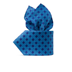 Комплект: галстук и платок-паше из шелка с принтом ручной работы цвет: 43029_005 Размер: One Size